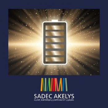 Les 470 collaborateurs du Groupe Sadec Akelys vous souhaitent de joyeuses fêtes !
