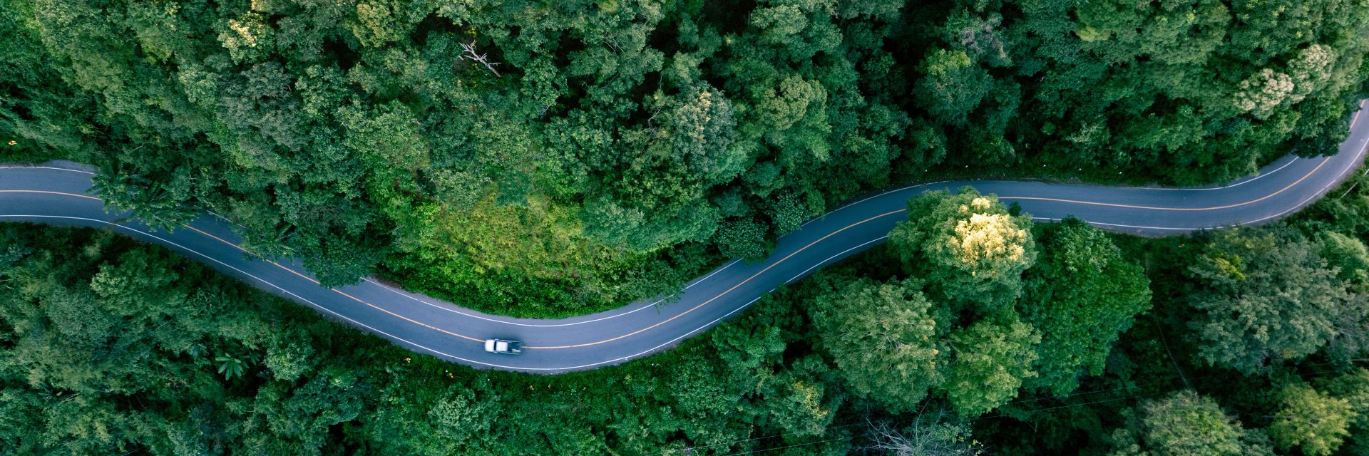 Vue aérienne sur une route sinueuse à travers une forêt